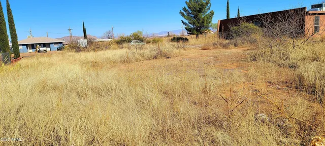 $20,900 | Lot 2 North Ford Street, Unit 2, Pearce, AZ 85625