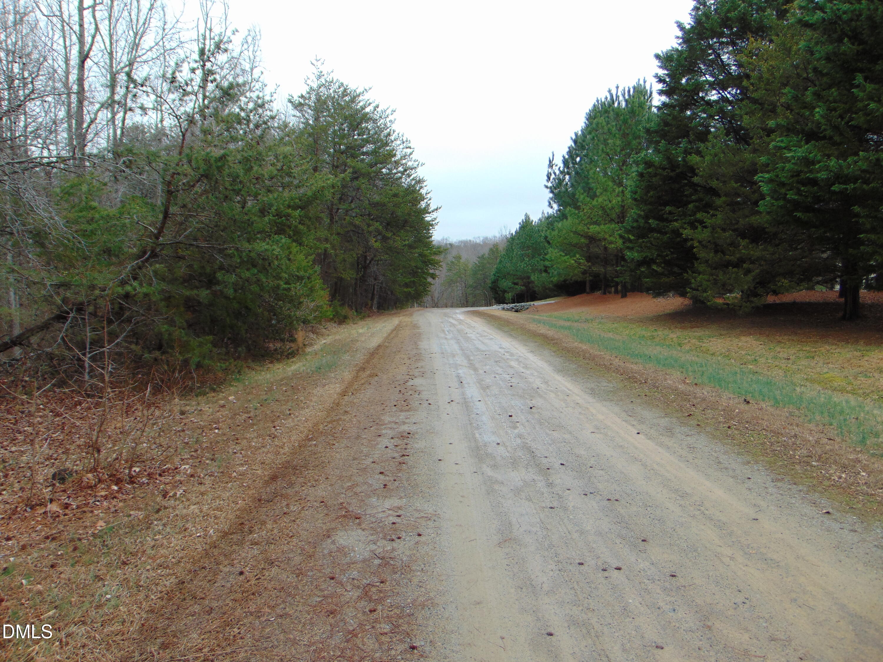 0 Fowlkes Road Pelham, NC 27311 - Photo 7 of 16 DSC01439