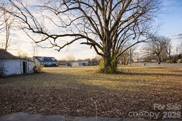 a view of dirt yard with a large tree
