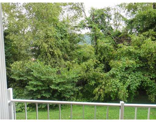 377 Ridge Avenue Monongahela, PA 15063 - Photo 12 of 17 View. YOU ALSO HAVE A GREAT VIEW FROM THE PORCH