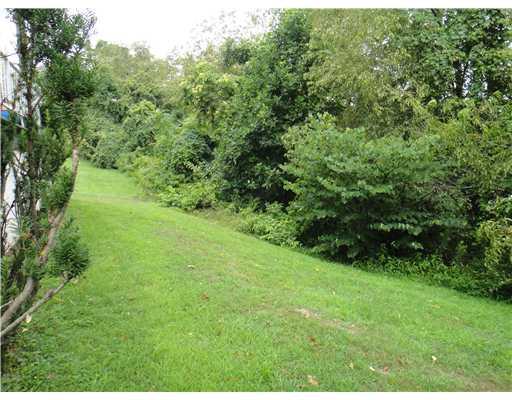 377 Ridge Avenue Monongahela, PA 15063 - Photo 9 of 17 Land/Lot.