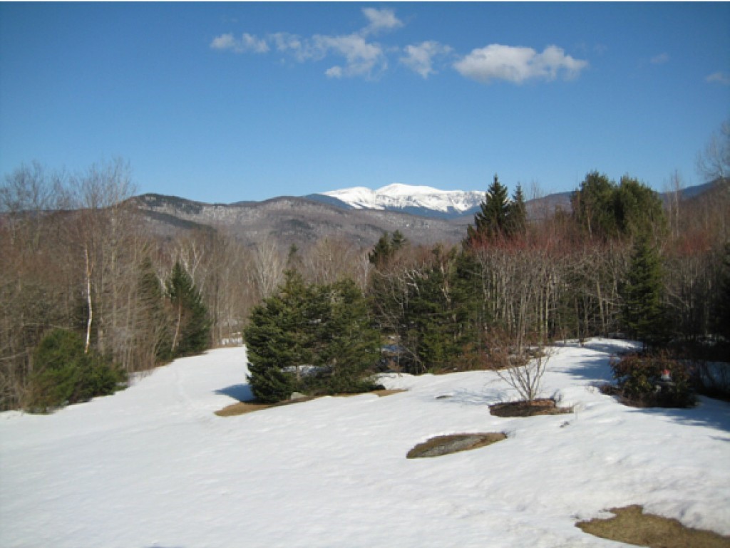 36 Sarah Hill Road Jackson, NH 03846 - Photo 29 of 36