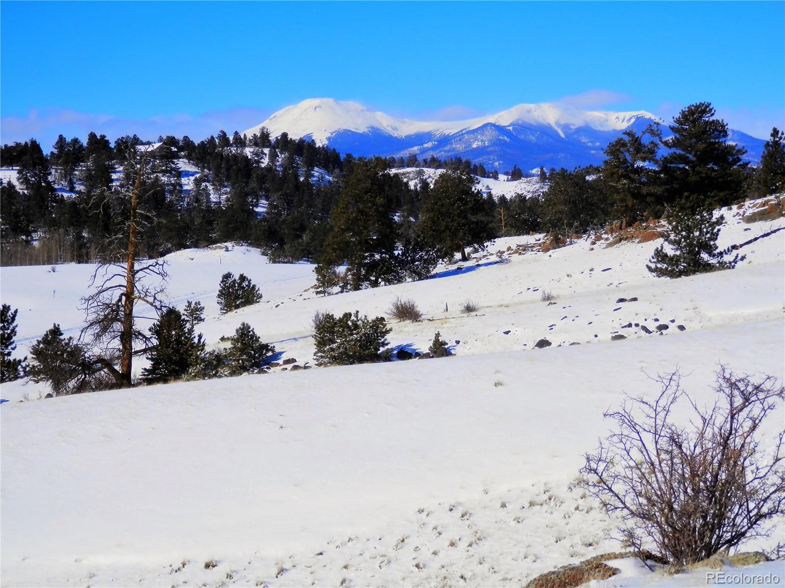 910 Pack Saddle Road Hartsel, CO 80449 - Photo 1 of 35 a view of a covered with snow in the background