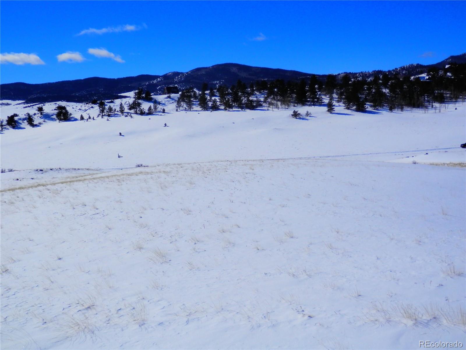 910 Pack Saddle Road Hartsel, CO 80449 - Photo 12 of 35 a view of sky view