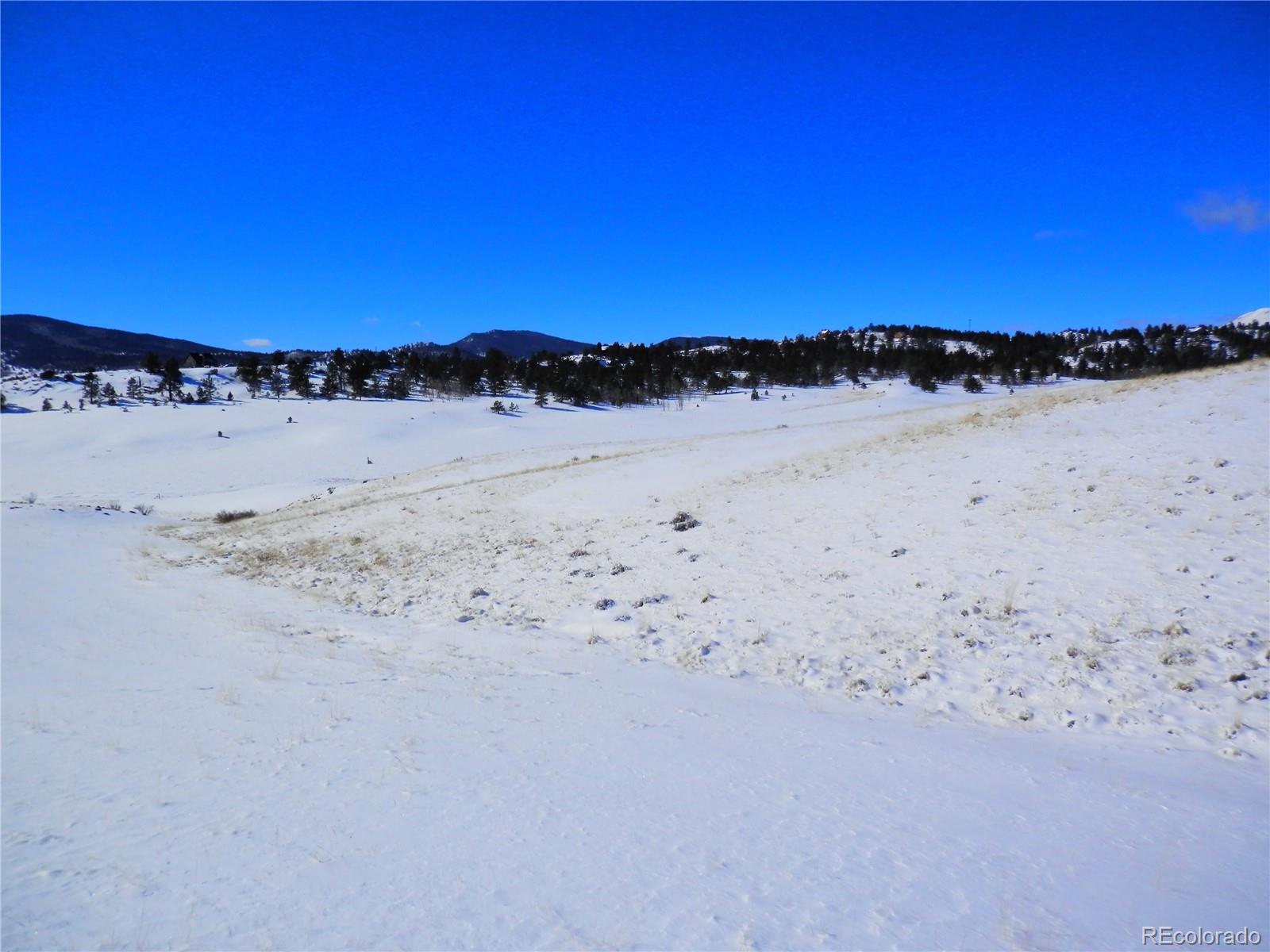 910 Pack Saddle Road Hartsel, CO 80449 - Photo 20 of 35