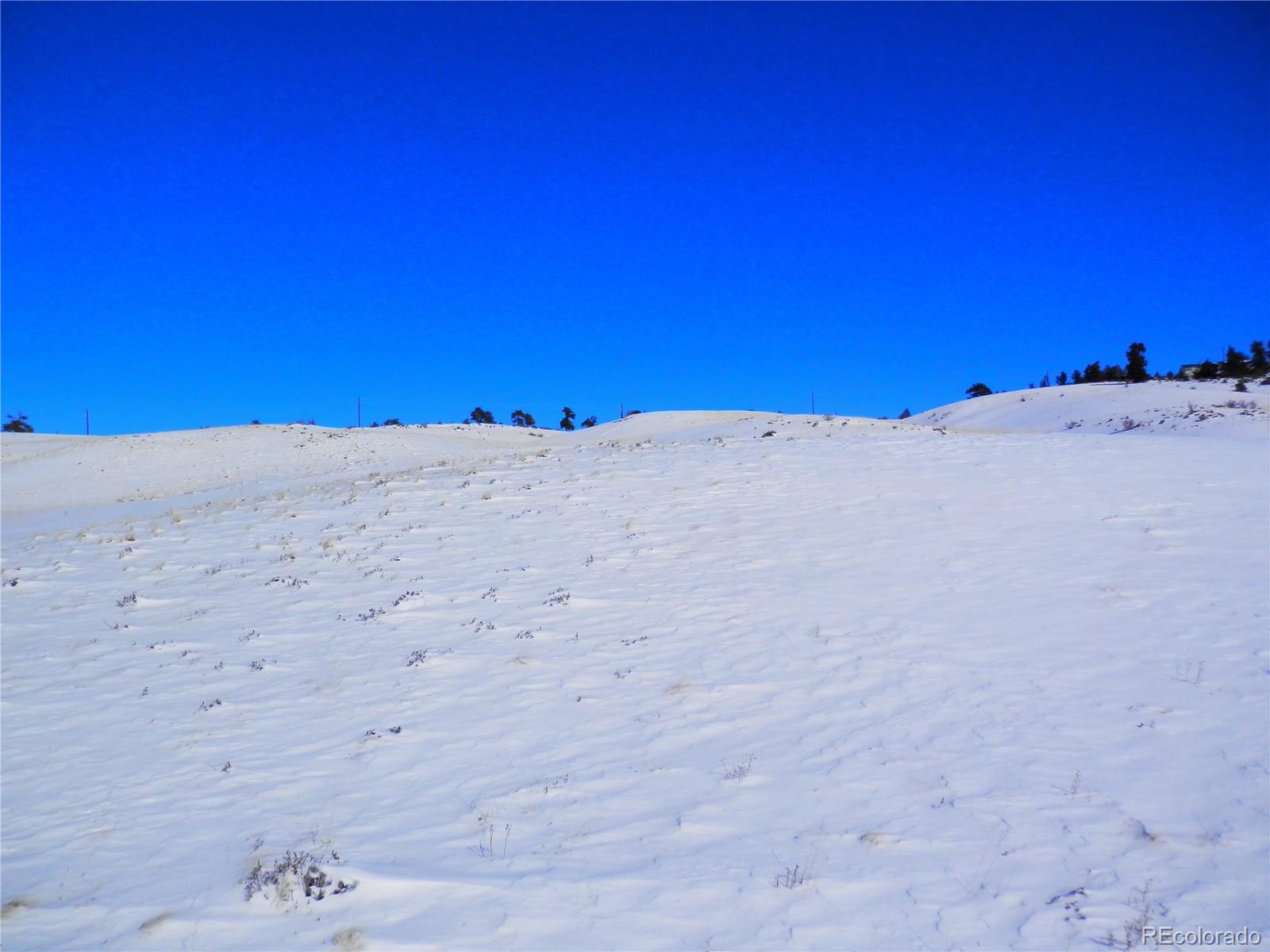 910 Pack Saddle Road Hartsel, CO 80449 - Photo 24 of 35 a view of a dry yard