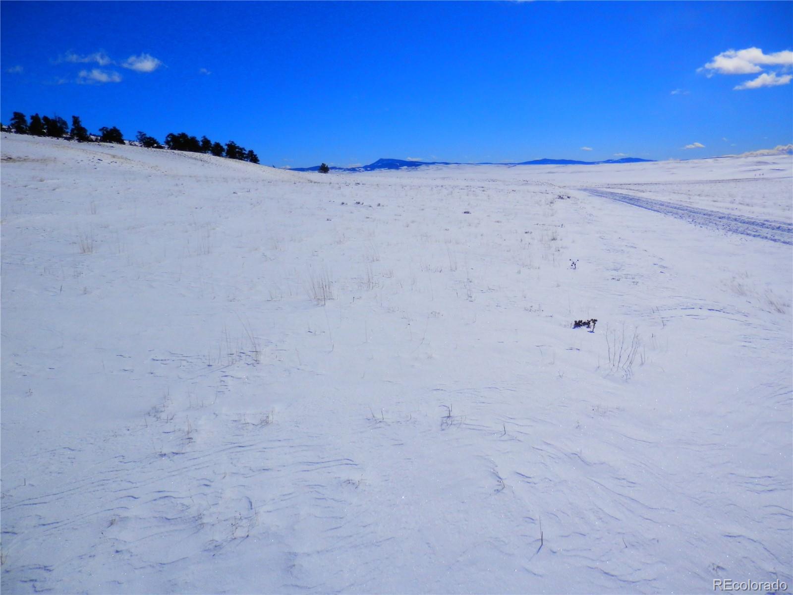 910 Pack Saddle Road Hartsel, CO 80449 - Photo 3 of 35 a view of a beach in the middle of a field