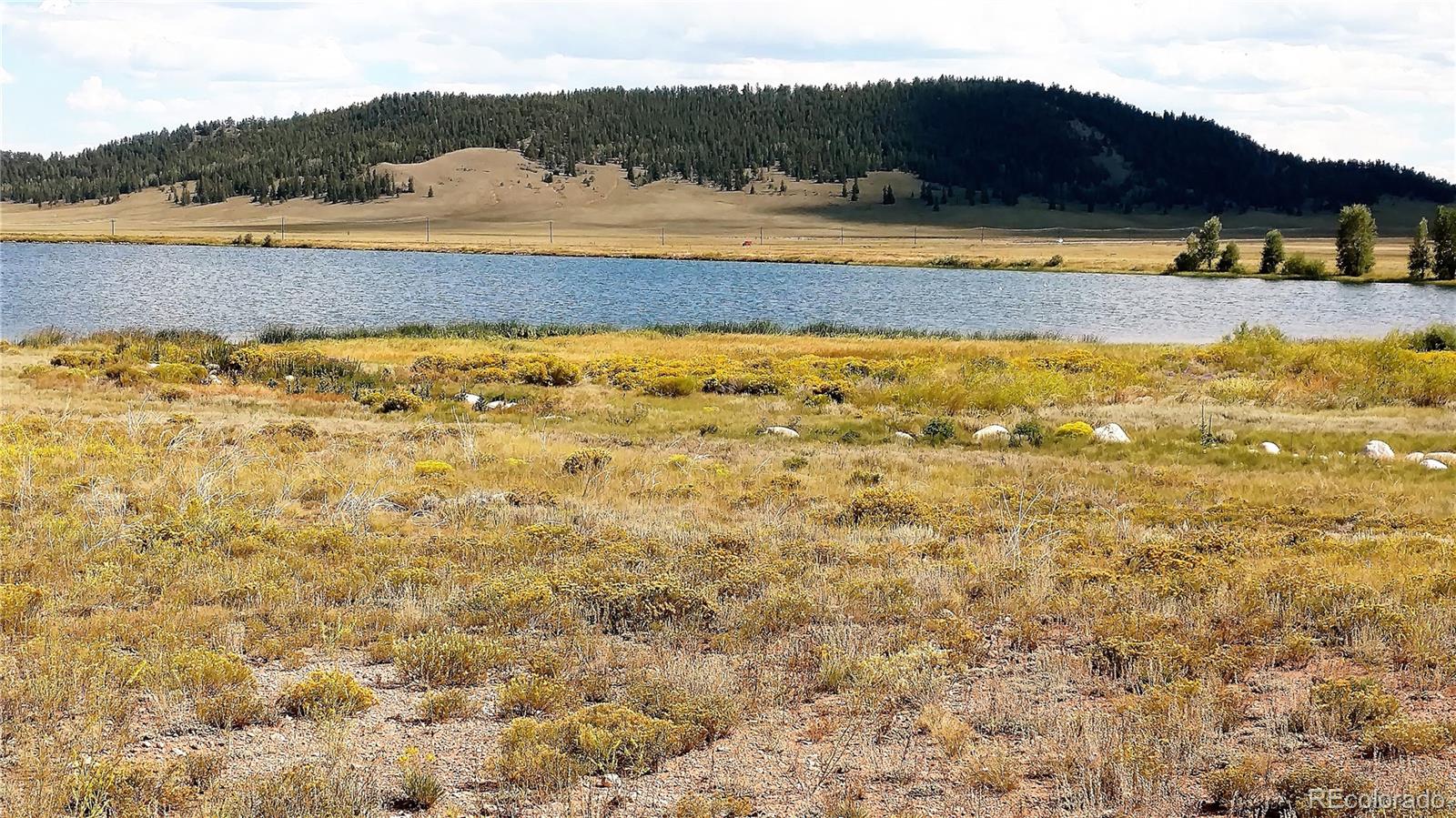 910 Pack Saddle Road Hartsel, CO 80449 - Photo 35 of 35 a view of lake and mountain