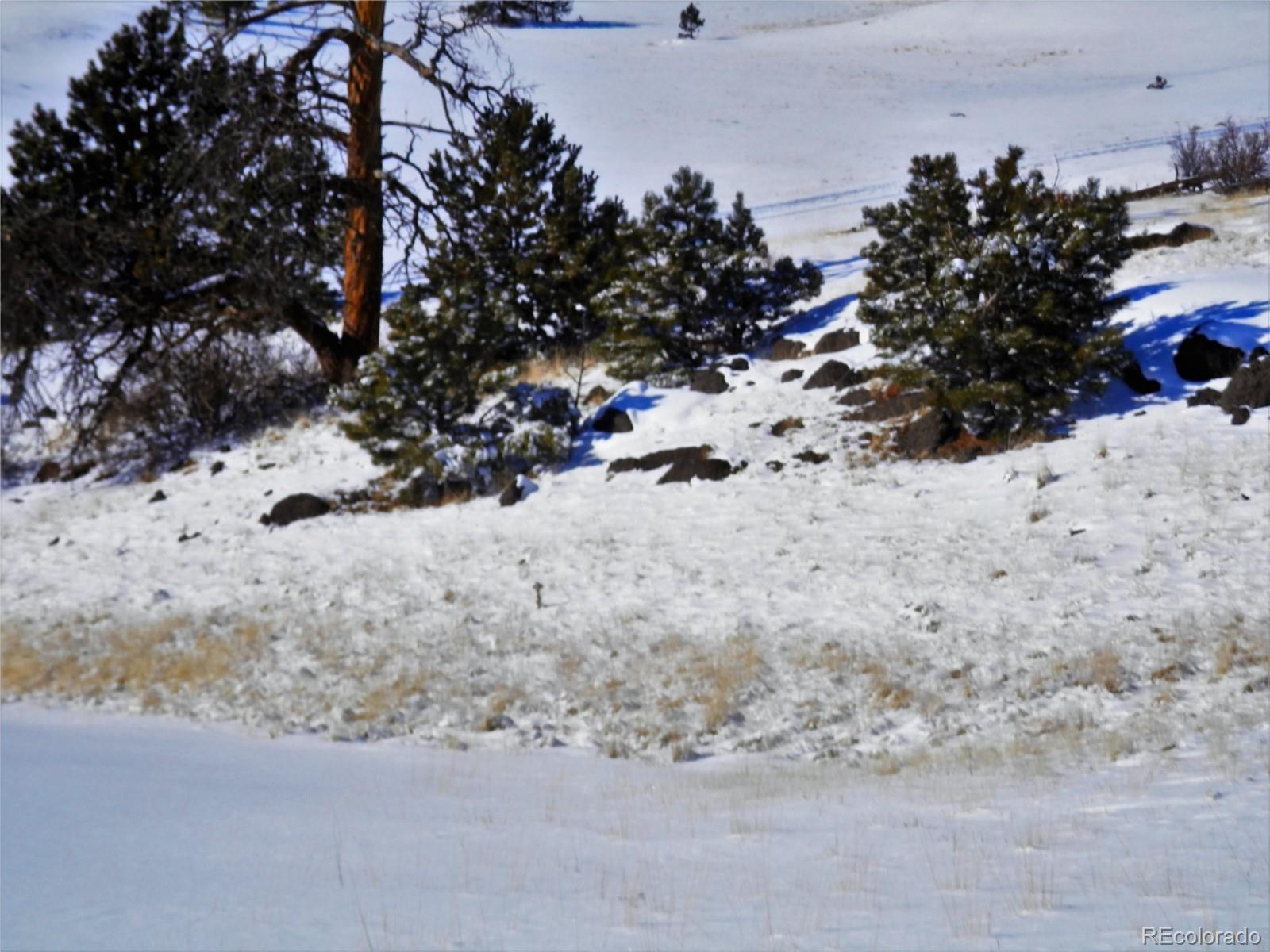 910 Pack Saddle Road Hartsel, CO 80449 - Photo 10 of 35 a view of a dry yard covered with snow in the background