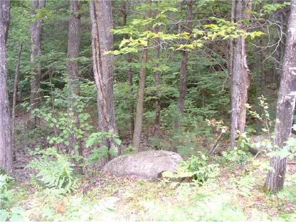 0 Old Rochester Road Barnstead, NH 03225 - Photo 1 of 2