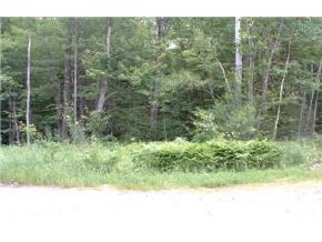 0 Old Rochester Road Barnstead, NH 03225 - Photo 2 of 2