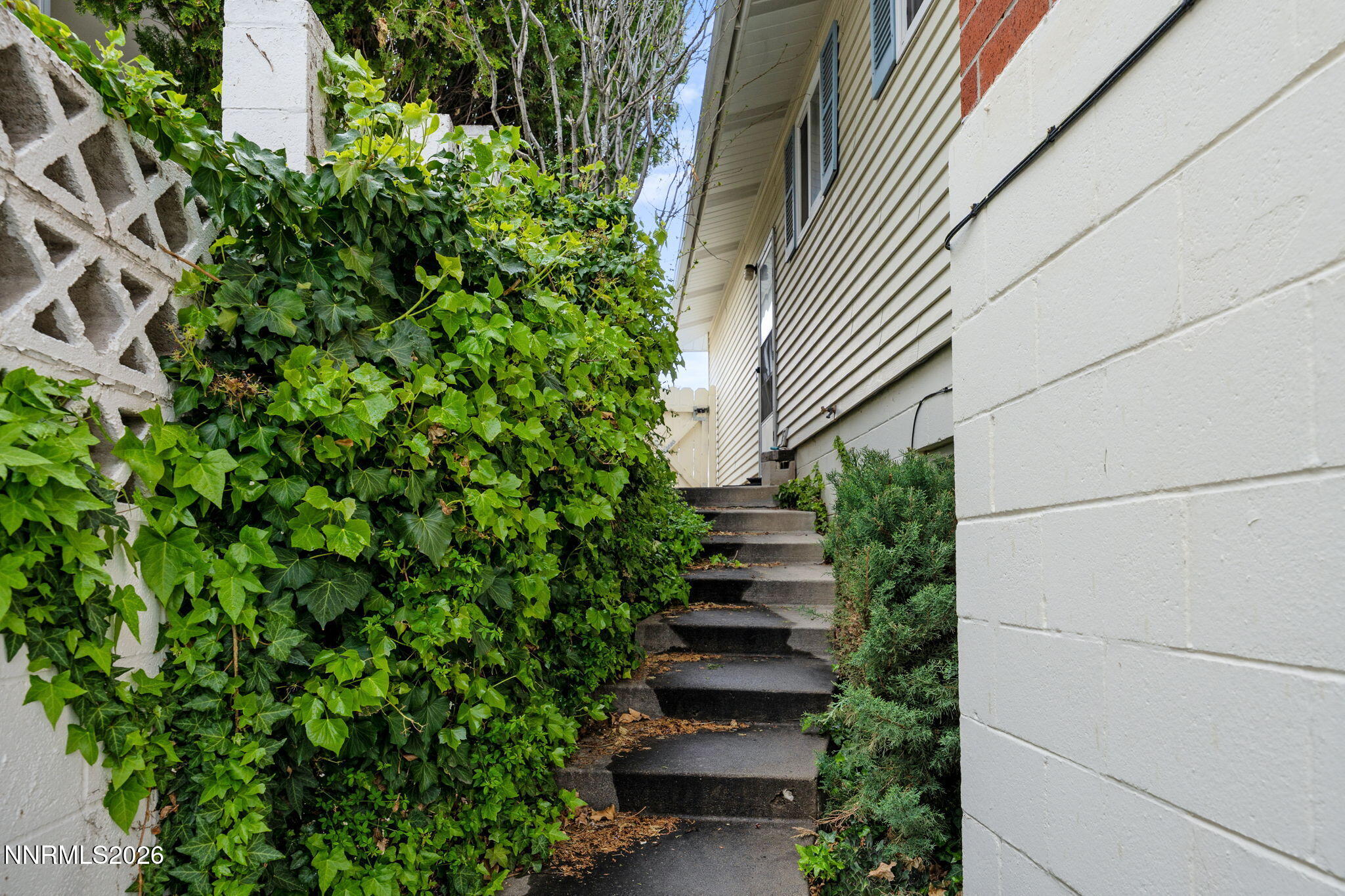 2685 Everett Drive Reno, NV 89503 - Photo 34 of 40 a view of a backyard with potted plants