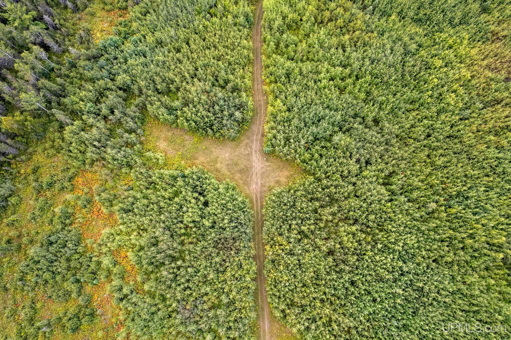 Tbd Murray 60 Road Perronville, MI 49873 - Photo 14 of 18