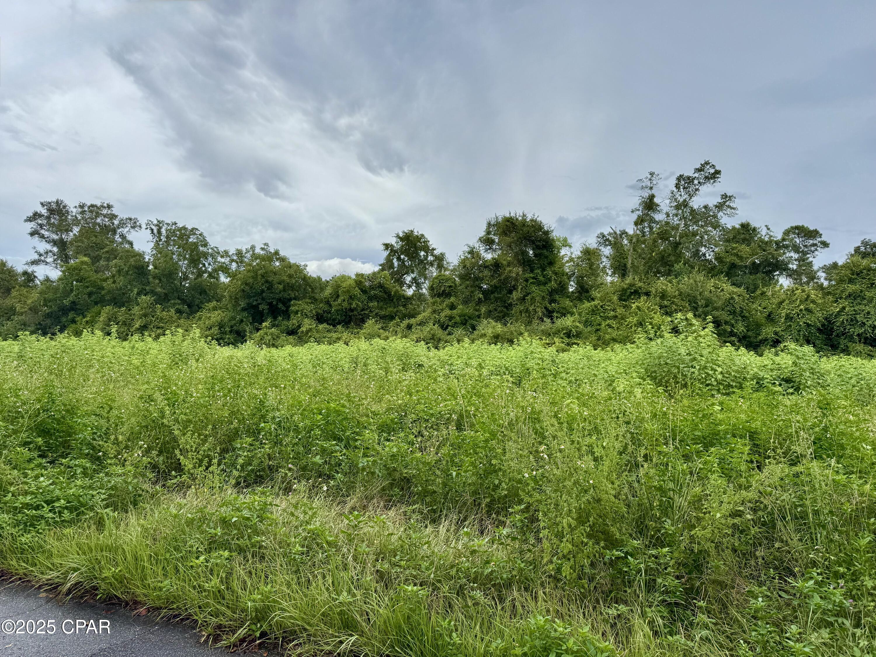 0 State Correctional Road Marianna, FL 32448 - Photo 1 of 4 Gallery Image 1
