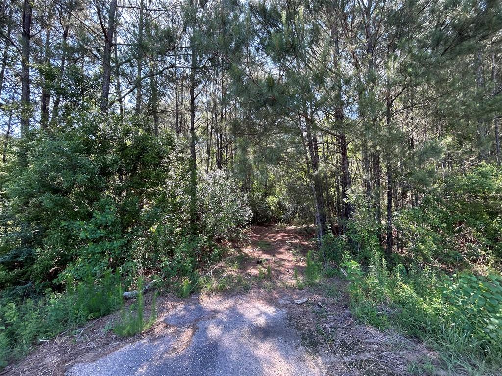 75185 Carol Lane Covington, LA 70435 - Photo 3 of 8