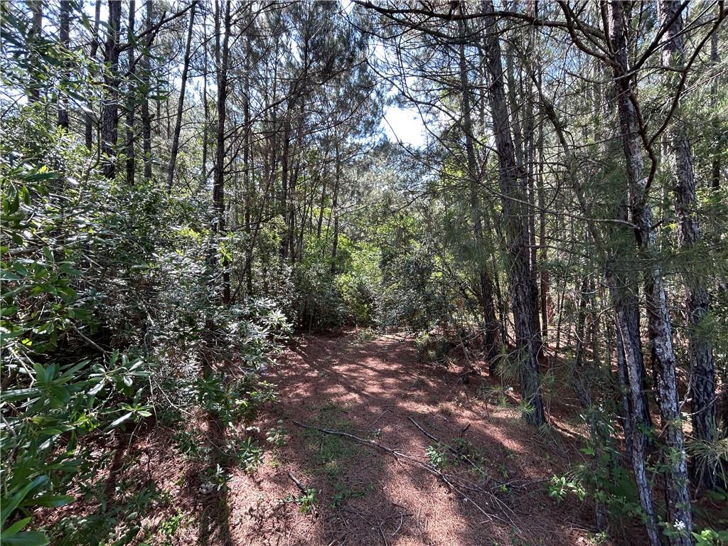 75185 Carol Lane Covington, LA 70435 - Photo 6 of 8