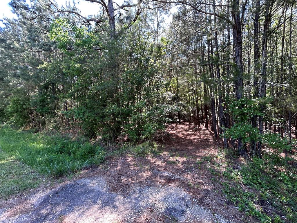 75185 Carol Lane Covington, LA 70435 - Photo 8 of 8