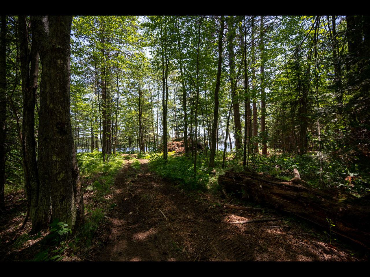 Lot #50 Memory Lane Eagle River, WI 54521 - Photo 15 of 16 Gallery Image 15