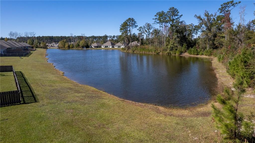 24185 Conservation Way Avenue Ponchatoula, LA 70454 - Photo 31 of 32