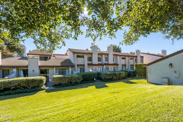 a view of a yard with a large trees