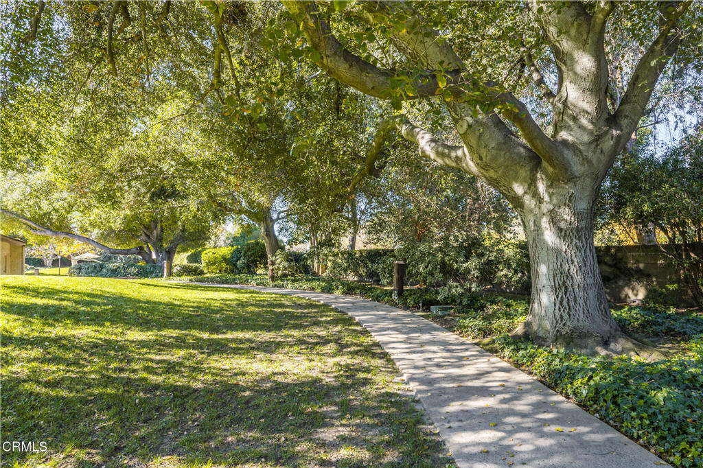 3237 La Encina Way Pasadena, CA 91107 - Photo 43 of 45 3237 La Encina-67