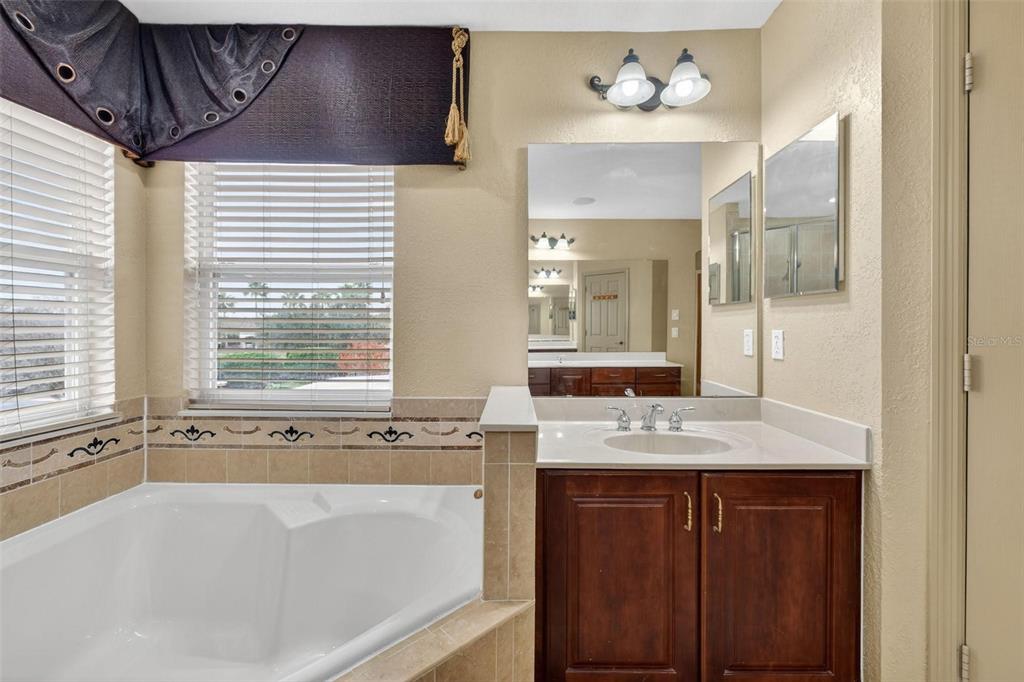 3463 Forest Ridge Lane Kissimmee, FL 34741 - Photo 38 of 58