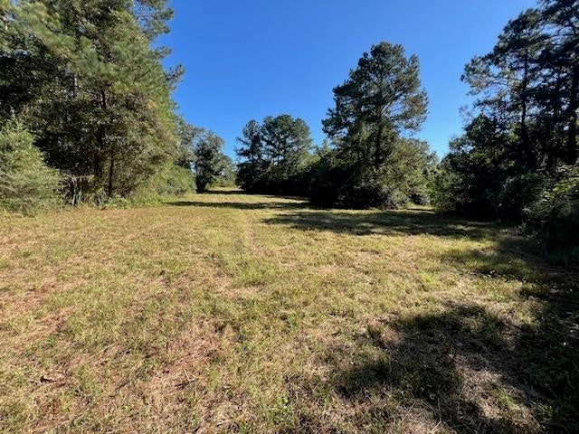 27-ac Babbie Road Andalusia, AL 36421 - Photo 7 of 35 Gallery Image 7