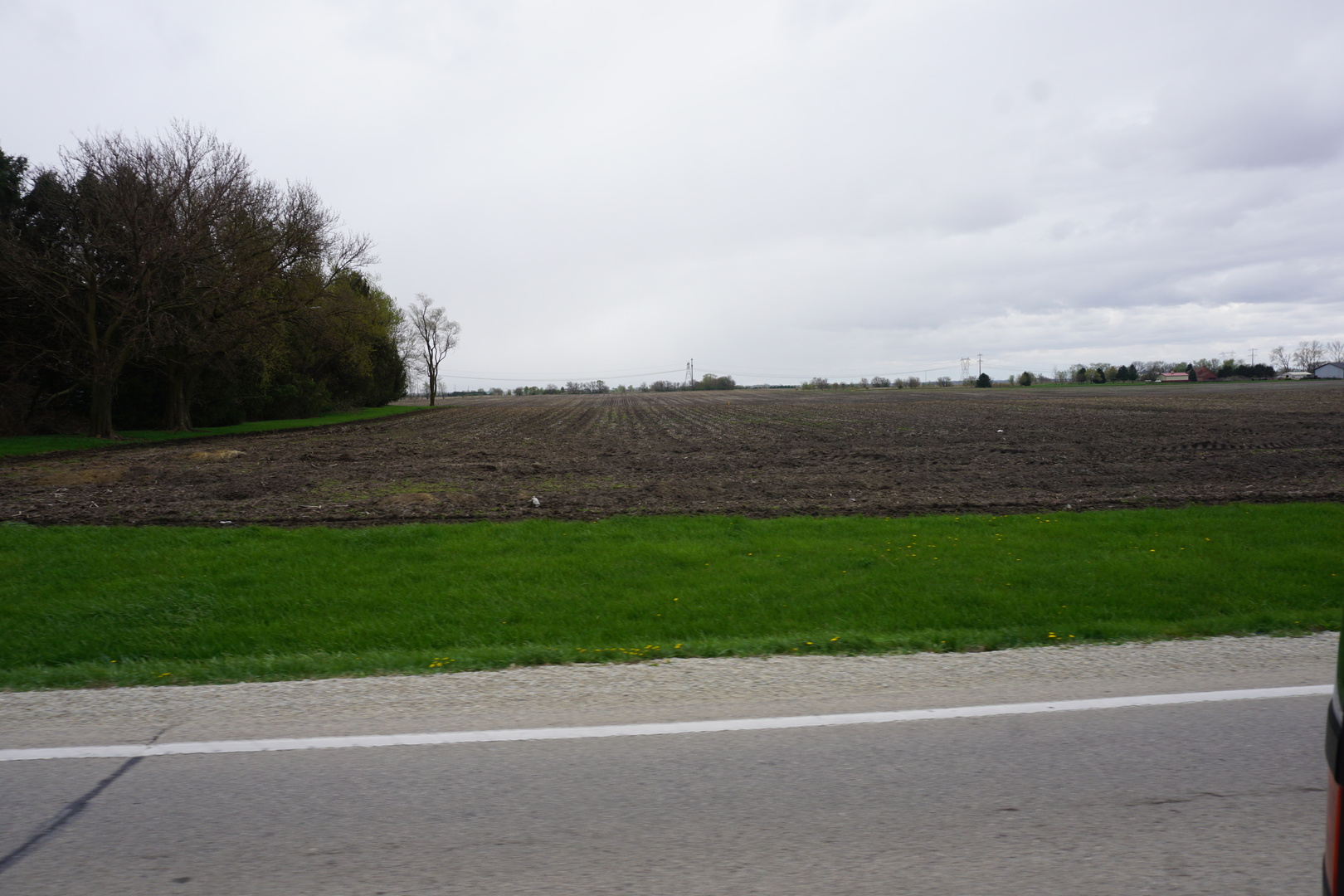 Undisclosed Address Peotone, IL 60468 - Photo 4 of 5 a view of a yard