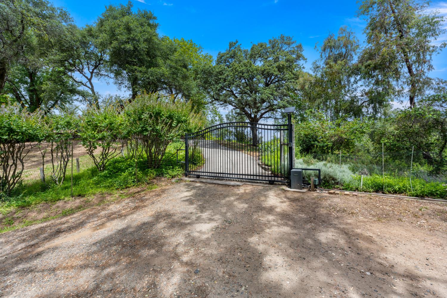 4223 Wise Road Lincoln, CA 95648 - Photo 3 of 95