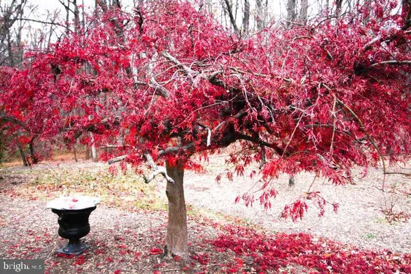 $824,900 | 3142 Searsmont Place, Herndon, VA 20171