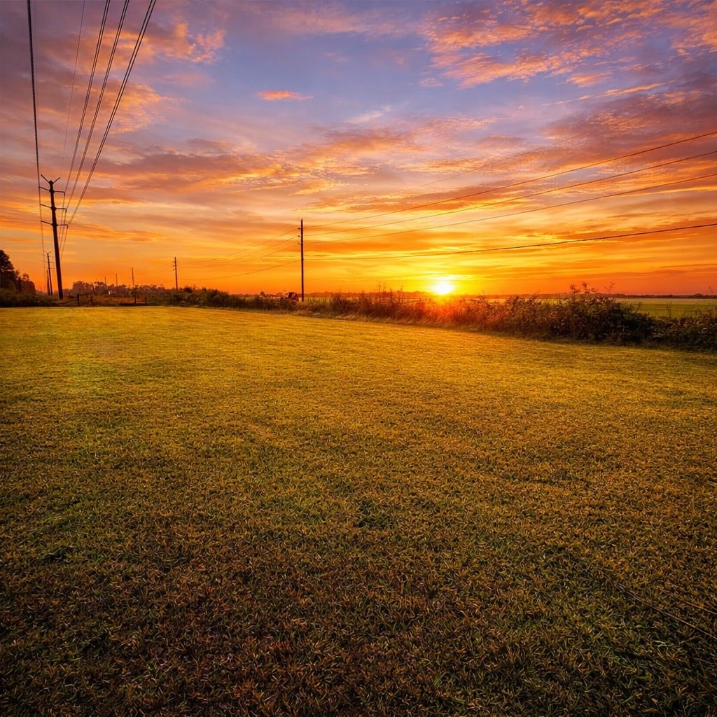 2710 Louis Road Crosby, TX 77532 - Photo 2 of 3