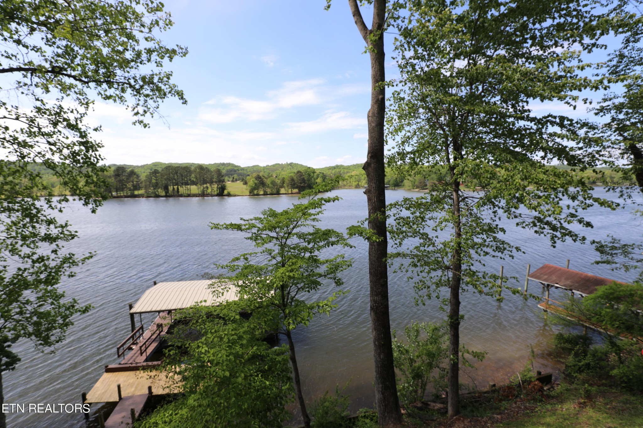 1018 Buzzard Roost Road Spring City, TN 37381 - Photo 42 of 44 Gallery Image 42