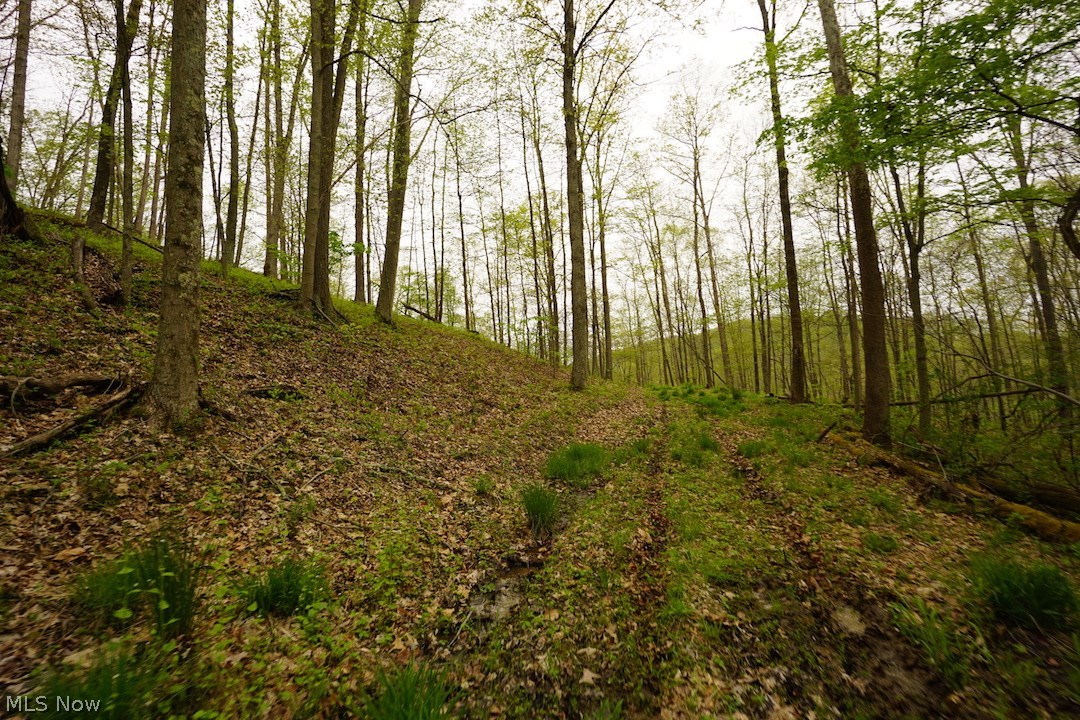 Dutch Creek Road Athens, OH 45701 - Photo 21 of 28