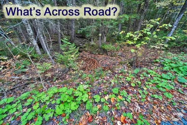 $32,500 | Lot 12 Winter Road, Linneus, ME 04730