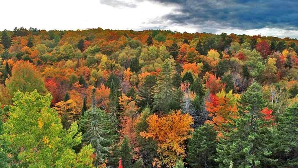 $32,500 | Lot 12 Winter Road, Linneus, ME 04730