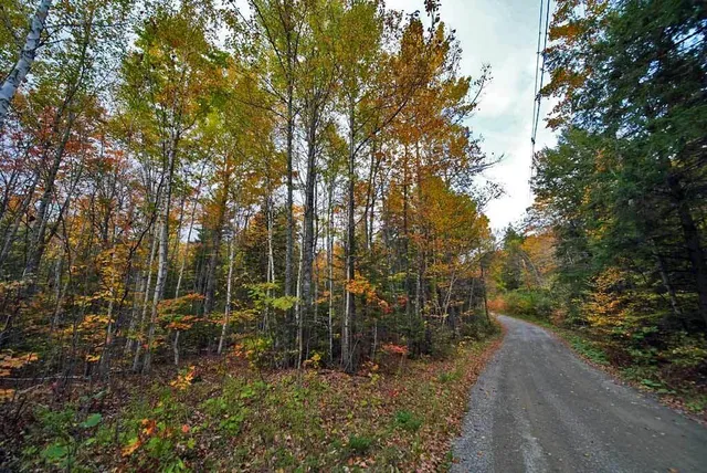 $32,500 | Lot 12 Winter Road, Linneus, ME 04730