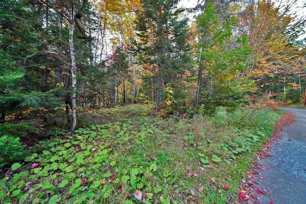 Lot 12 Winter Road Linneus, ME 04730 - Photo 15 of 38 land-maine-camping-vacation