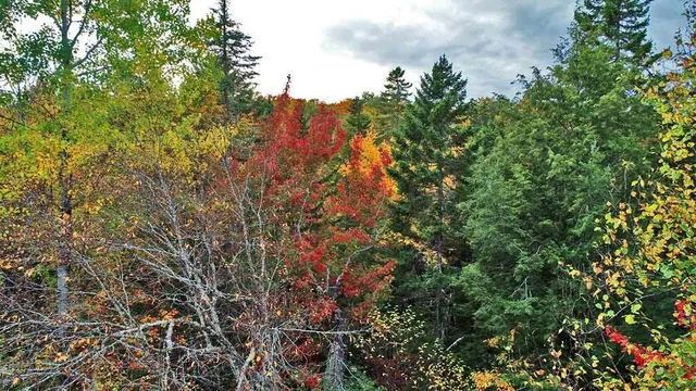 $32,500 | Lot 12 Winter Road, Linneus, ME 04730