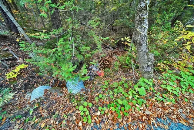 $32,500 | Lot 12 Winter Road, Linneus, ME 04730