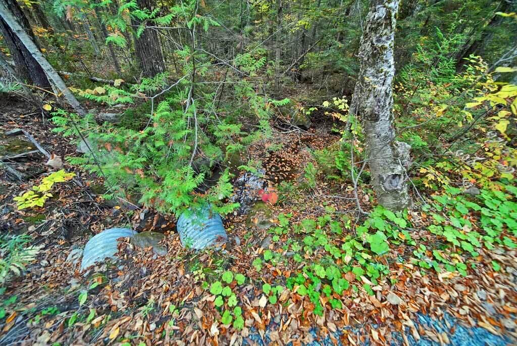 Lot 12 Winter Road Linneus, ME 04730 - Photo 18 of 38 small-brook-maine-land-drew