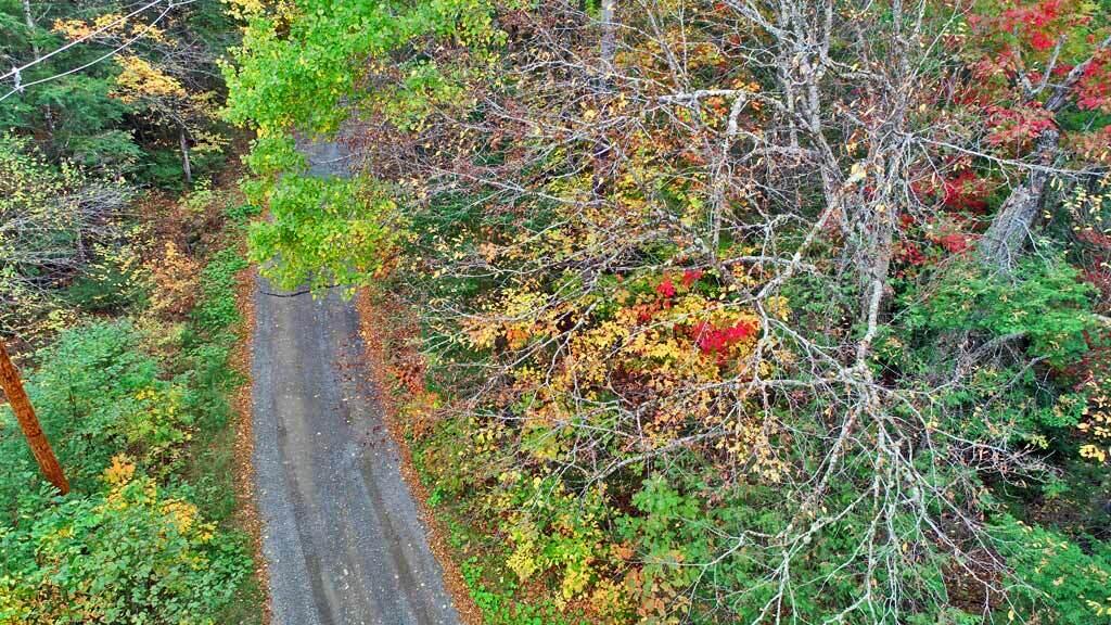 Lot 12 Winter Road Linneus, ME 04730 - Photo 19 of 38 winter-rd-land-lot-12