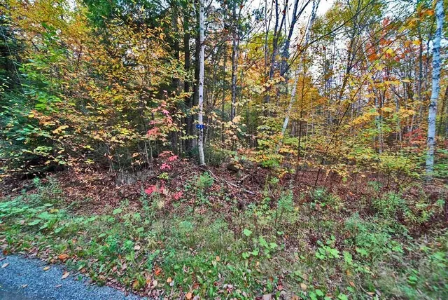 $32,500 | Lot 12 Winter Road, Linneus, ME 04730