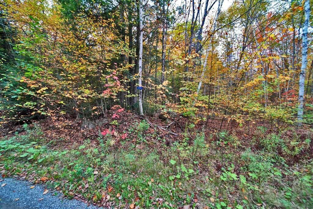 Lot 12 Winter Road Linneus, ME 04730 - Photo 21 of 38 woodlot-timber-land