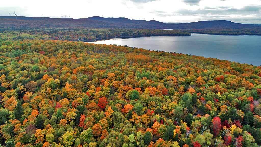 Lot 12 Winter Road Linneus, ME 04730 - Photo 37 of 38 me-foliage-colors-drews-lak