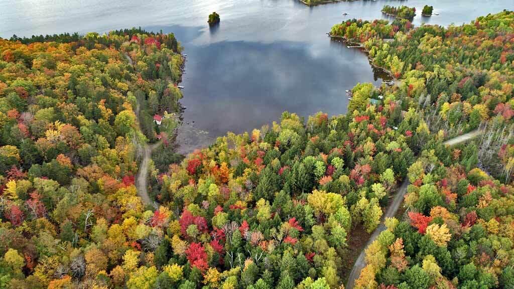Lot 12 Winter Road Linneus, ME 04730 - Photo 38 of 38 peak-fall-color-linneus-me-