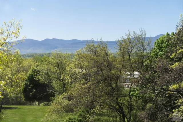 a view of a city with a mountain in the background