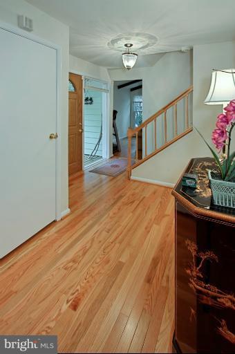 Interior (General)