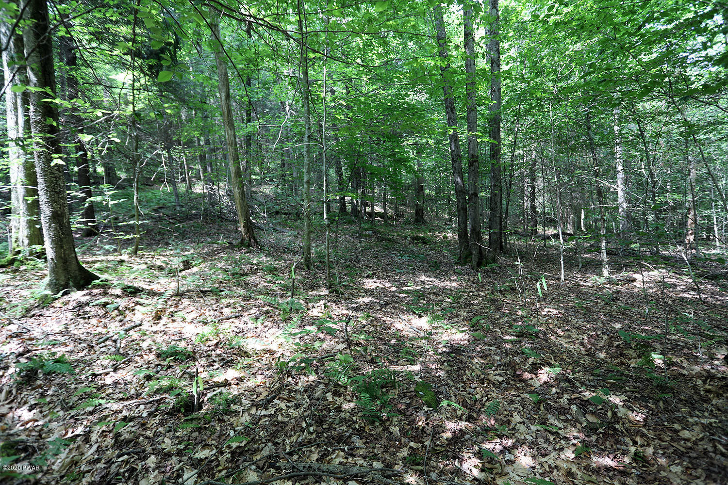 0 Minckler Mountain Road Equinunk, PA 18417 - Photo 37 of 39