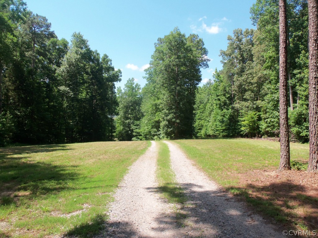 12641 Ivey Mill Road Chesterfield, VA 23838 - Photo 3 of 24 a view of a yard with a trees