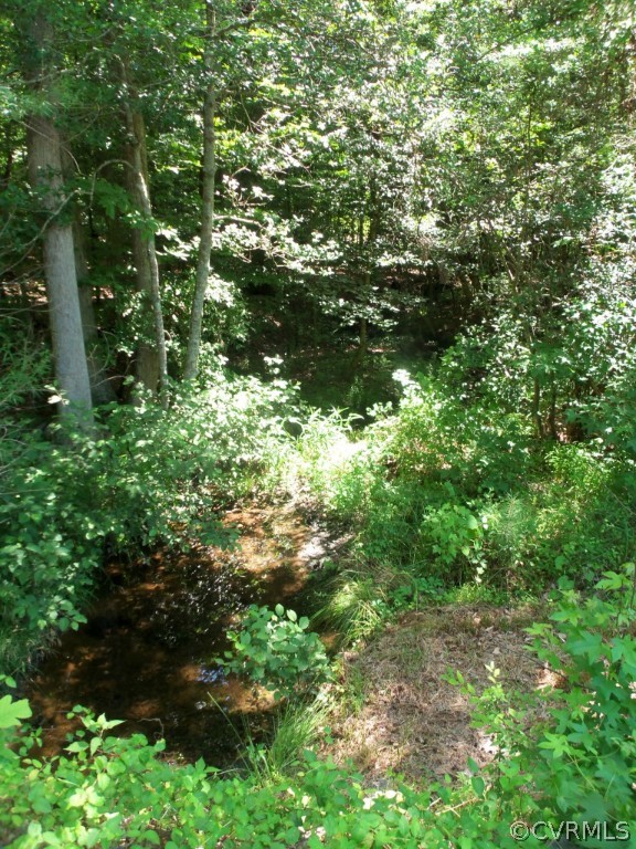 12641 Ivey Mill Road Chesterfield, VA 23838 - Photo 5 of 24 a backyard of a house with lots of green space